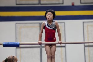 Gymnastics - 2023 GYMNASTICS MEET | TYPA