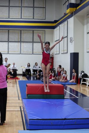Gymnastics - 2023 GYMNASTICS MEET | TYPA