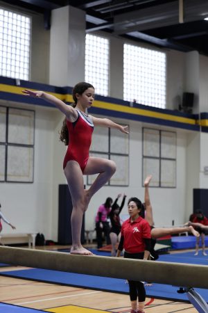 Gymnastics - 2023 GYMNASTICS MEET | TYPA
