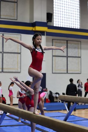 Gymnastics - 2023 GYMNASTICS MEET | TYPA