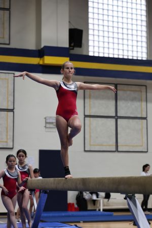 Gymnastics - 2023 GYMNASTICS MEET | TYPA