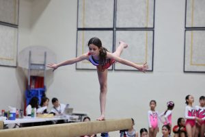 Gymnastics - 2023 GYMNASTICS MEET | TYPA