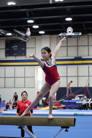 Gymnastics - 2023 GYMNASTICS MEET | TYPA