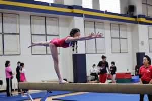 Gymnastics - 2023 GYMNASTICS MEET | TYPA