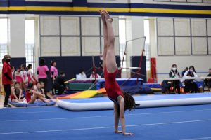 Gymnastics - 2023 GYMNASTICS MEET | TYPA