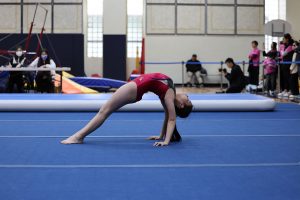 Gymnastics - 2023 GYMNASTICS MEET | TYPA