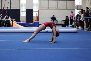 Gymnastics - 2023 GYMNASTICS MEET | TYPA