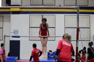Gymnastics - 2023 GYMNASTICS MEET | TYPA