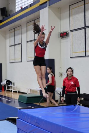 Gymnastics - 2023 GYMNASTICS MEET | TYPA