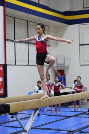Gymnastics - 2023 GYMNASTICS MEET | TYPA