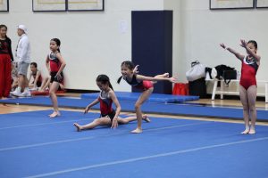 Gymnastics - 2023 GYMNASTICS MEET | TYPA