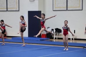 Gymnastics - 2023 GYMNASTICS MEET | TYPA