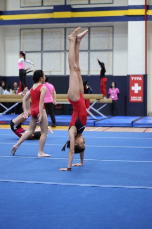 Gymnastics - 2023 GYMNASTICS MEET | TYPA