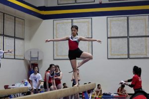 Gymnastics - 2023 GYMNASTICS MEET | TYPA
