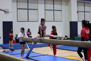 Gymnastics - 2023 GYMNASTICS MEET | TYPA