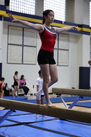 Gymnastics - 2023 GYMNASTICS MEET | TYPA