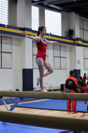 Gymnastics - 2023 GYMNASTICS MEET | TYPA