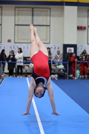 Gymnastics - 2023 GYMNASTICS MEET | TYPA