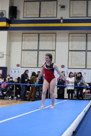 Gymnastics - 2023 GYMNASTICS MEET | TYPA