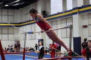 Gymnastics - 2023 GYMNASTICS MEET | TYPA