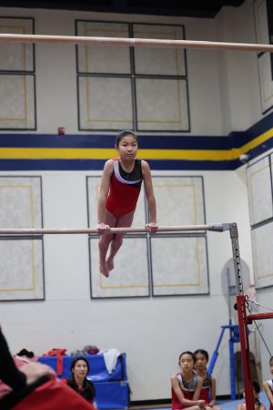 Gymnastics - 2023 GYMNASTICS MEET | TYPA