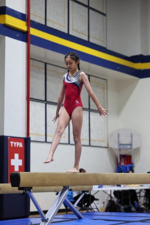 Gymnastics - 2023 GYMNASTICS MEET | TYPA