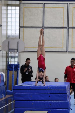 Gymnastics - 2023 GYMNASTICS MEET | TYPA