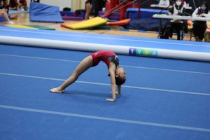 Gymnastics - 2023 GYMNASTICS MEET | TYPA
