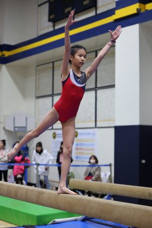 Gymnastics - 2023 GYMNASTICS MEET | TYPA