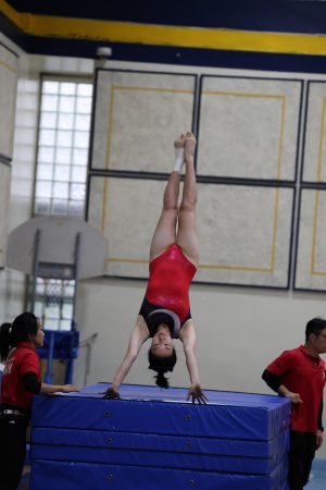 Gymnastics - 2023 GYMNASTICS MEET | TYPA