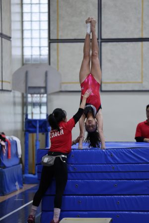 Gymnastics - 2023 GYMNASTICS MEET | TYPA