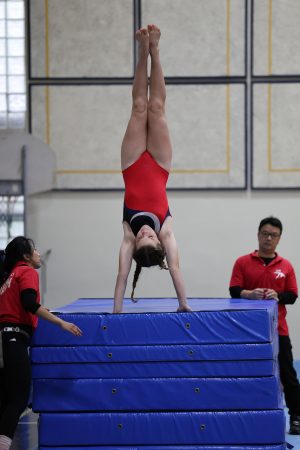 Gymnastics - 2023 GYMNASTICS MEET | TYPA
