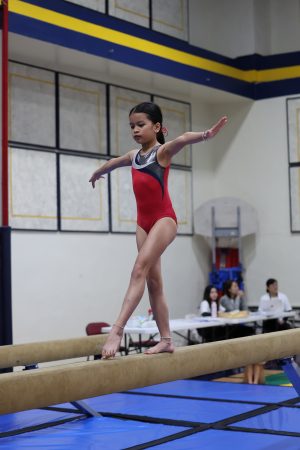 Gymnastics - 2023 GYMNASTICS MEET | TYPA