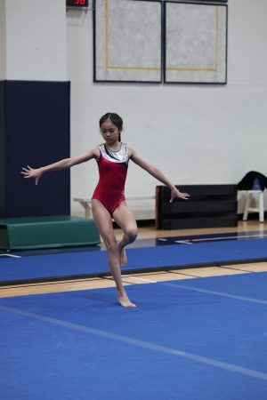 Gymnastics - 2023 GYMNASTICS MEET | TYPA