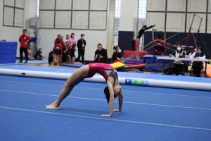 Gymnastics - 2023 GYMNASTICS MEET | TYPA