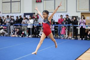 Gymnastics - 2023 GYMNASTICS MEET | TYPA