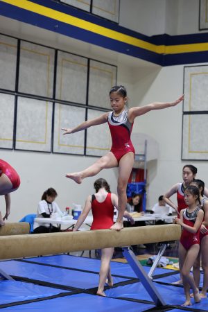 Gymnastics - 2023 GYMNASTICS MEET | TYPA