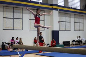 Gymnastics - 2023 GYMNASTICS MEET | TYPA