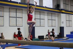 Gymnastics - 2023 GYMNASTICS MEET | TYPA