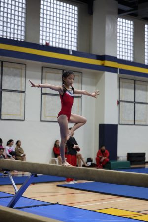 Gymnastics - 2023 GYMNASTICS MEET | TYPA