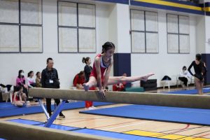 Gymnastics - 2023 GYMNASTICS MEET | TYPA