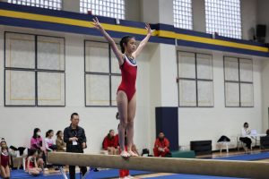 Gymnastics - 2023 GYMNASTICS MEET | TYPA