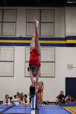 Gymnastics - 2023 GYMNASTICS MEET | TYPA
