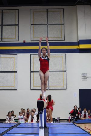 Gymnastics - 2023 GYMNASTICS MEET | TYPA
