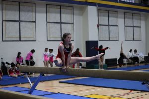 Gymnastics - 2023 GYMNASTICS MEET | TYPA