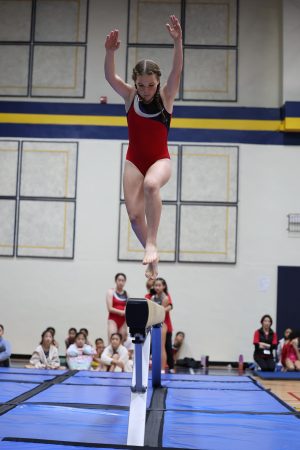 Gymnastics - 2023 GYMNASTICS MEET | TYPA