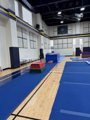 Gymnastics - 2023 GYMNASTICS MEET | TYPA