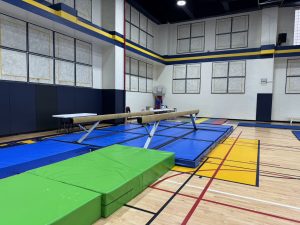 Gymnastics - 2023 GYMNASTICS MEET | TYPA
