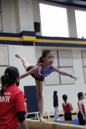 Gymnastics - 2022 GYMNASTICS MEET | TYPA