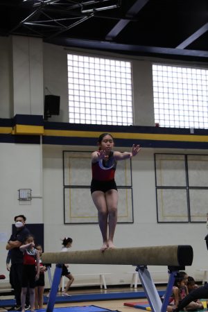 Gymnastics - 2022 GYMNASTICS MEET | TYPA